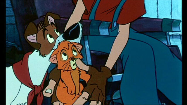 File:Oliver-Company-oliver-and-company-movie-5872712-768-432.jpg