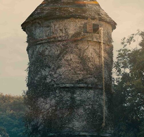 File:IntoWoods MPC VFX 03A.jpg