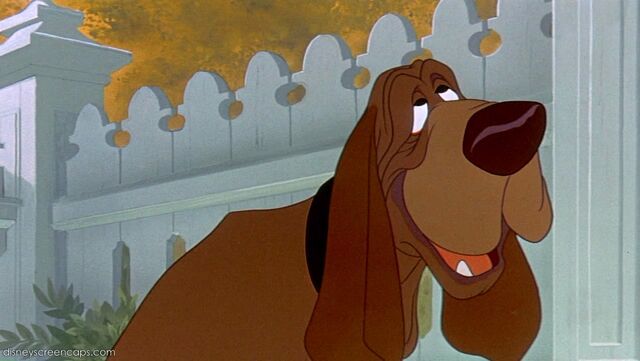 File:Tramp-disneyscreencaps com-2386.jpg