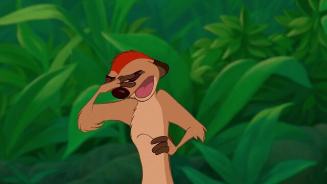 File:Timon annoyed with Nala.jpg