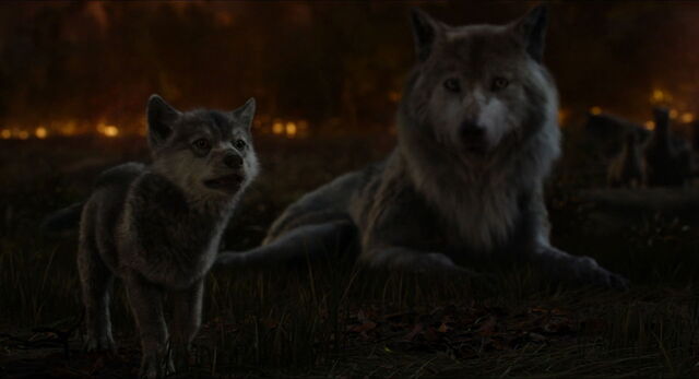 File:Jungle-book-2016-disneyscreencaps.com-10902.jpg