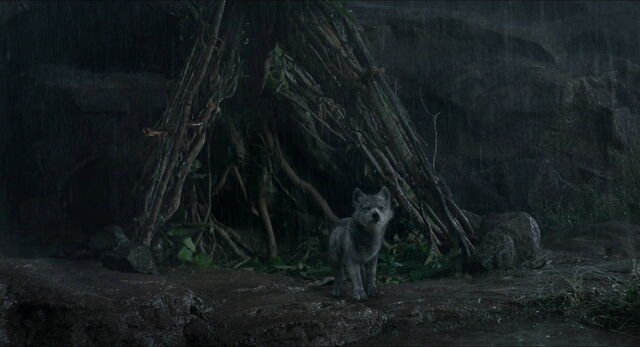 File:Jungle-book-2016-disneyscreencaps.com-1639.jpg