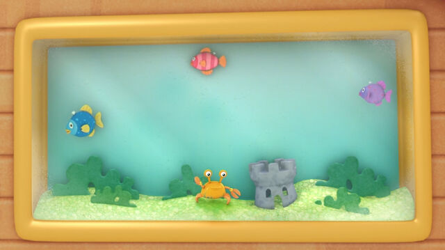 File:Hermie inside the fishtank.jpg