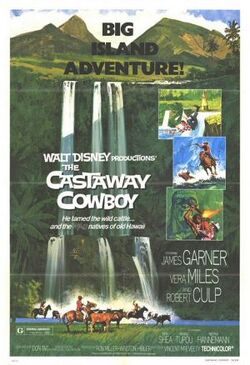 The Castaway Cowboy FilmPoster