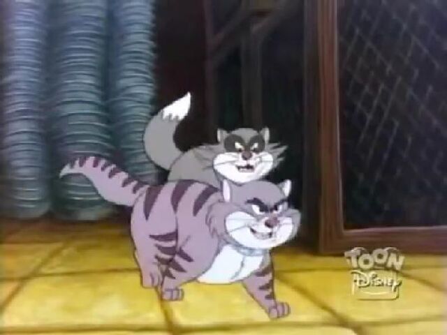File:Pintscats21.jpg