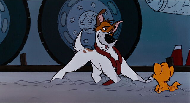 File:Oliver-Company-oliver-and-company-movie-5746054-768-432.jpg