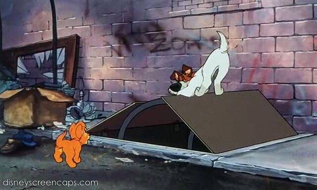 File:Oliver-disneyscreencaps.com-787.jpg