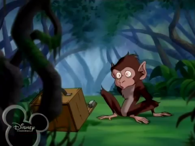 File:Baboon flash photo.png