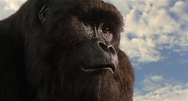 File:Mighty-joe-young-disneyscreencaps com-1895.jpg