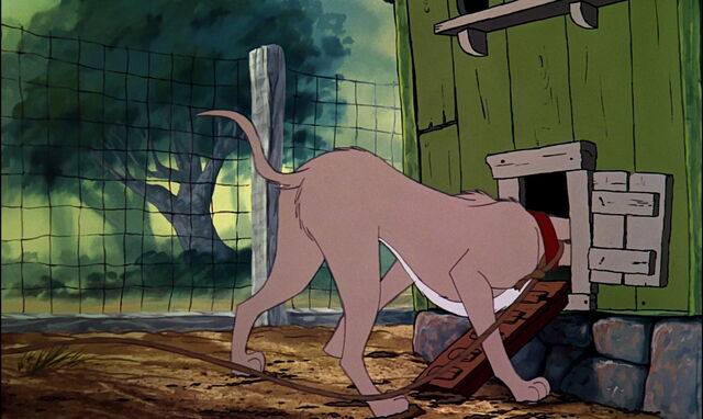 File:Fox-and-the-hound-disneyscreencaps.com-2528.jpg
