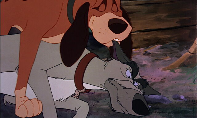 File:Fox-and-the-hound-disneyscreencaps.com-4720.jpg
