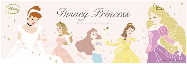 File:NEWS disney princess-644x222 better.jpg