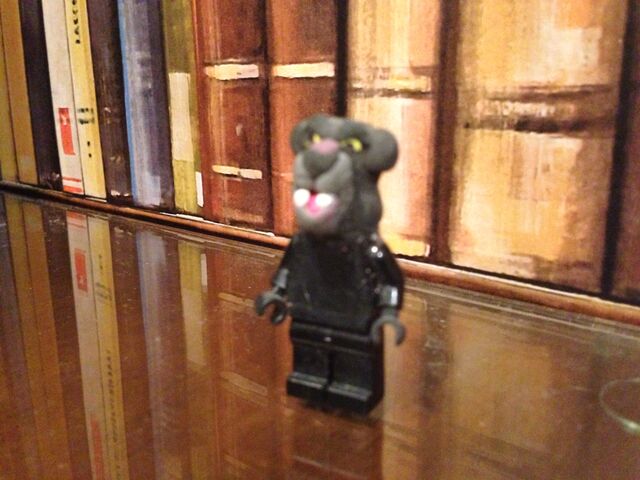 File:Bagheera.jpeg