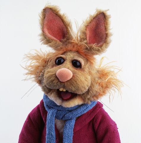 File:BeanBunny-Portrait.jpg