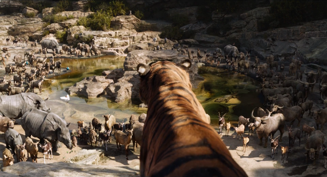 File:Jungle Book 2016 33.png