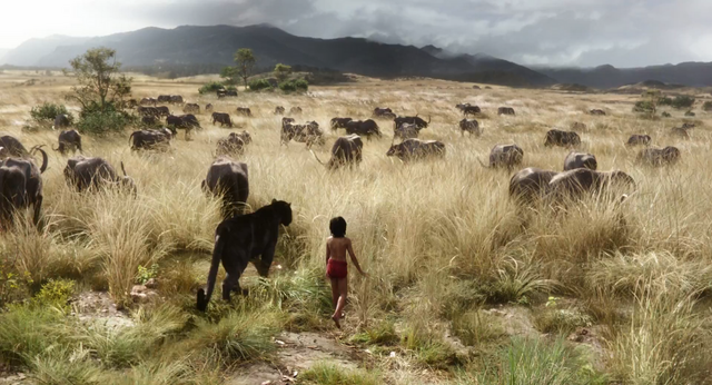 File:Jungle Book Savanah.png