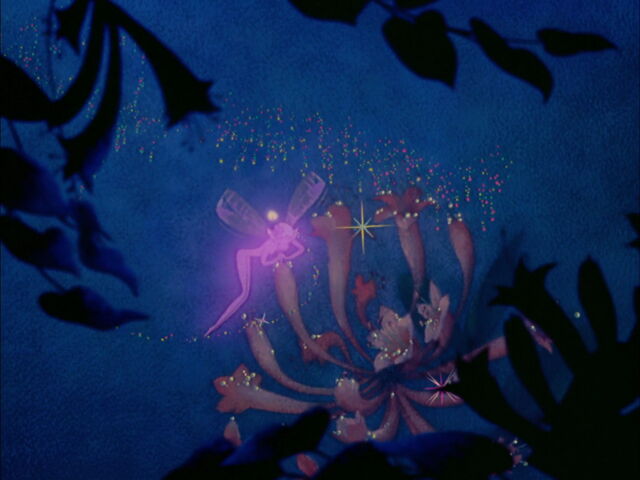 File:Fantasia-disneyscreencaps.com-1554.jpg
