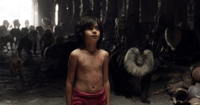 File:Mowgli and Monkey's 2016.jpg