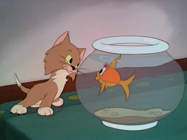 File:Tumblr nuspblHWm11r3jmn6o1 1280.png