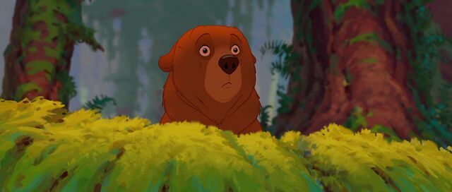 File:Bear 11.jpg