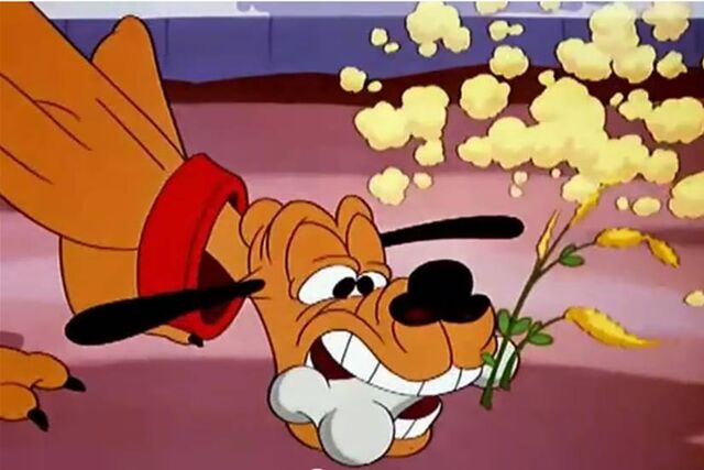 File:Bone Bandit 2.jpg
