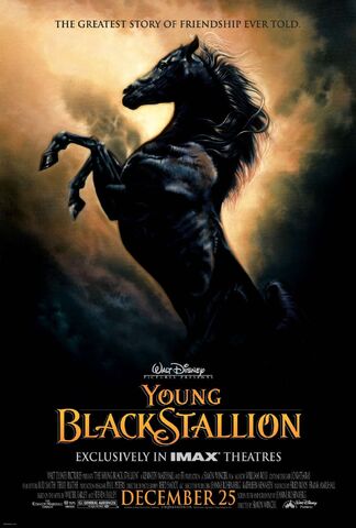 File:The Young Black Stallion.jpg