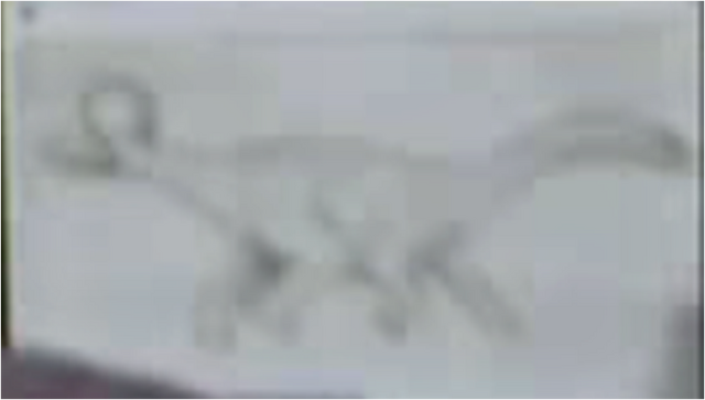 File:Jacob 8.png