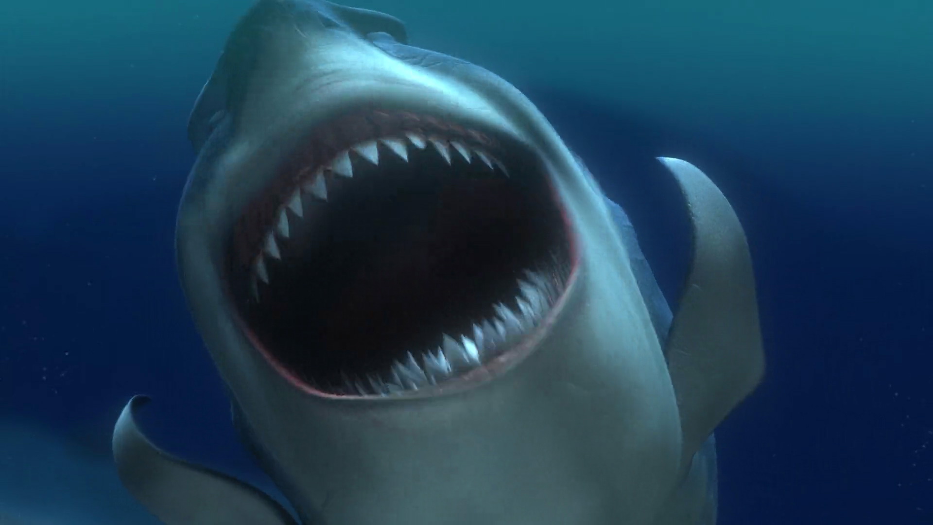 finding nemo whale finding nemo whale