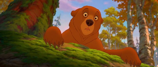 File:Bear 9.jpg