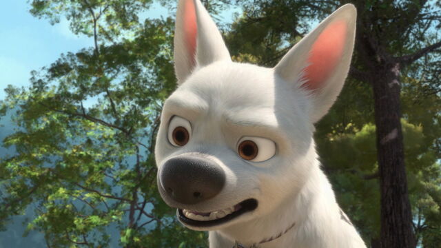 File:Bolt-disneyscreencaps.com-4675.jpg