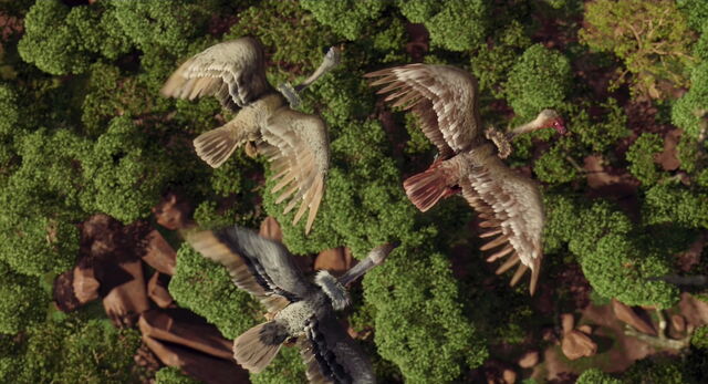 File:The-wild-disneyscreencaps com-6430.jpg