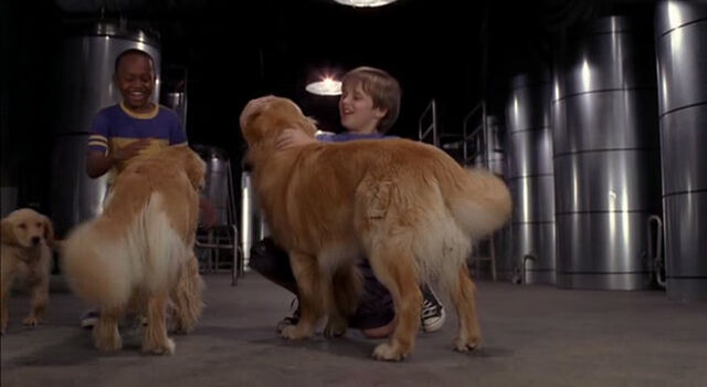 File:Air-buddies-disneyscreencaps.com-8077.jpg