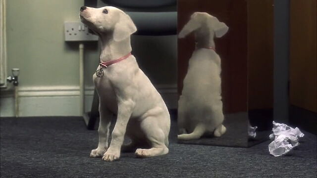 File:102-dalmatians-disneyscreencaps.com-2764.jpg