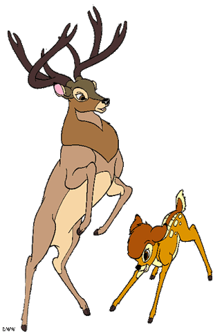 File:Clipfbam5.gif