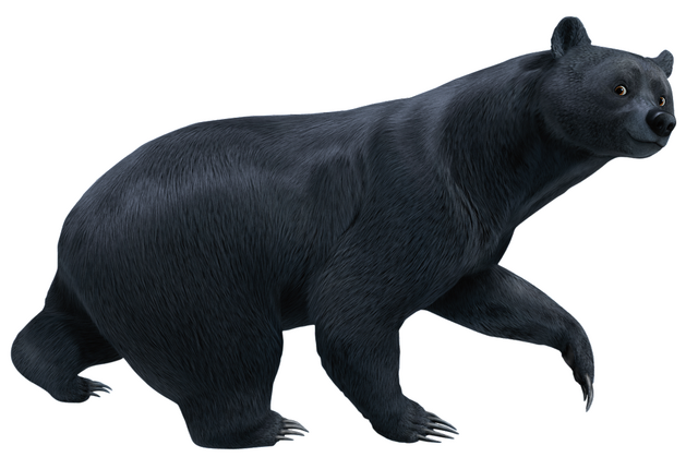 File:QueenElinorBear-Brave.png
