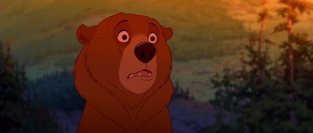 File:Bear 50.jpg