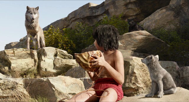 File:Jungle-book-2016-disneyscreencaps.com-930.jpg