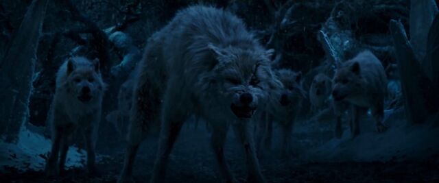 File:Beauty and the Beast – US Official Final Trailer 17.jpg