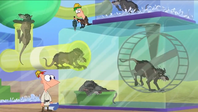 File:Ahamsterhabitatforwomprats.png