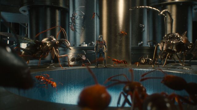 File:Ant-Man (film) 89.jpg