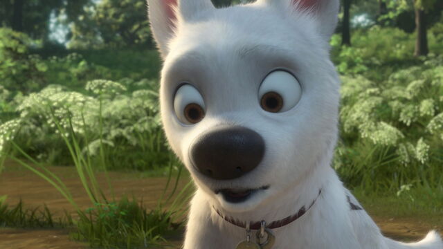 File:Bolt-disneyscreencaps.com-4499.jpg