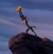 Lion-king Circle of Life