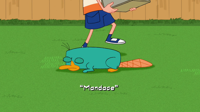 File:Mandace title card.png