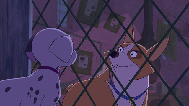 File:101-dalmatians-2-disneyscreencaps.com-6074.jpg