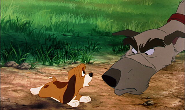 File:Fox-and-the-hound-disneyscreencaps.com-847.jpg