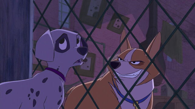 File:101-dalmatians-2-disneyscreencaps.com-6077.jpg