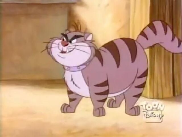 File:Pintscats25.jpg