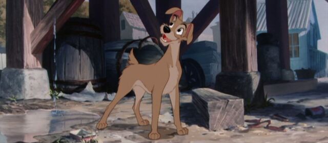 File:Tumblr n406vxczcY1qhcrb0o1 1280.jpg