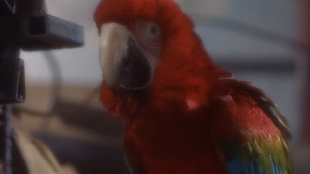 File:102-dalmatians-disneyscreencaps com-784.jpg