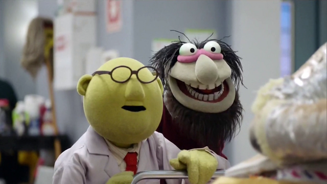 File:TheMuppets-S01E07-Bunsen&CrazyHarry.png